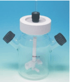 Cell culture bottle