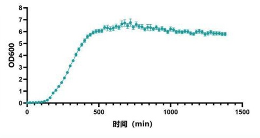 Microbial Growth Curve Analyzer MGC - Image 3