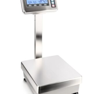 Precision platform scale KERN FES/FEJ